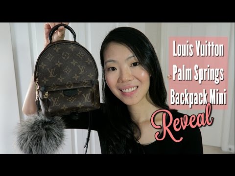 palm springs backpack mini review